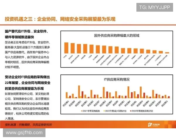 武汉网球队转型之路的挑战与机遇全景观察