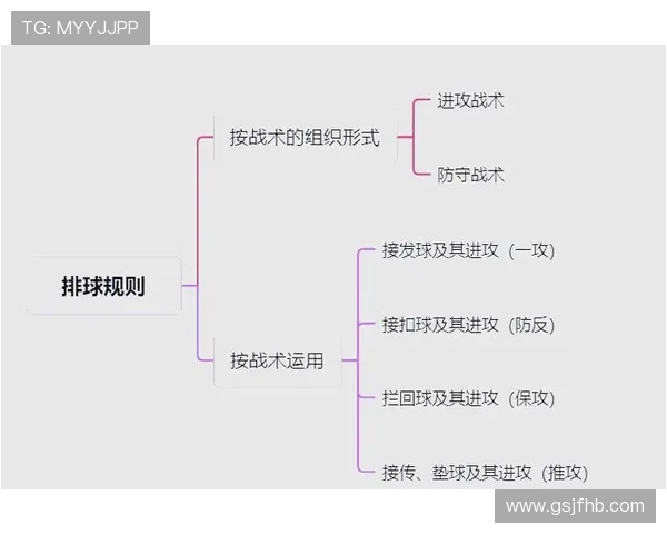 武汉排球队战术表现深度分析与数据解读探讨
