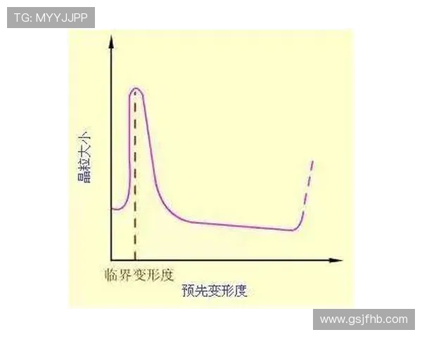 深入探讨上海乒乓球队成员个人能力差异及其对整体表现的影响