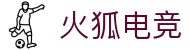 火狐电竞·(中国区)电子竞技平台